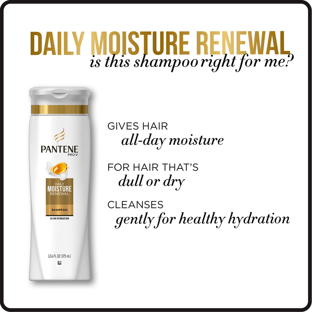 Pantene Daily Moisture Renewal duo packaging display showcases the shampoo and conditioner set.