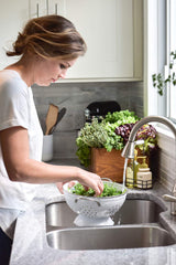 PANZERR Cucina coriander-olive-tree label highlighting premium fragrance and elegant kitchen styling.