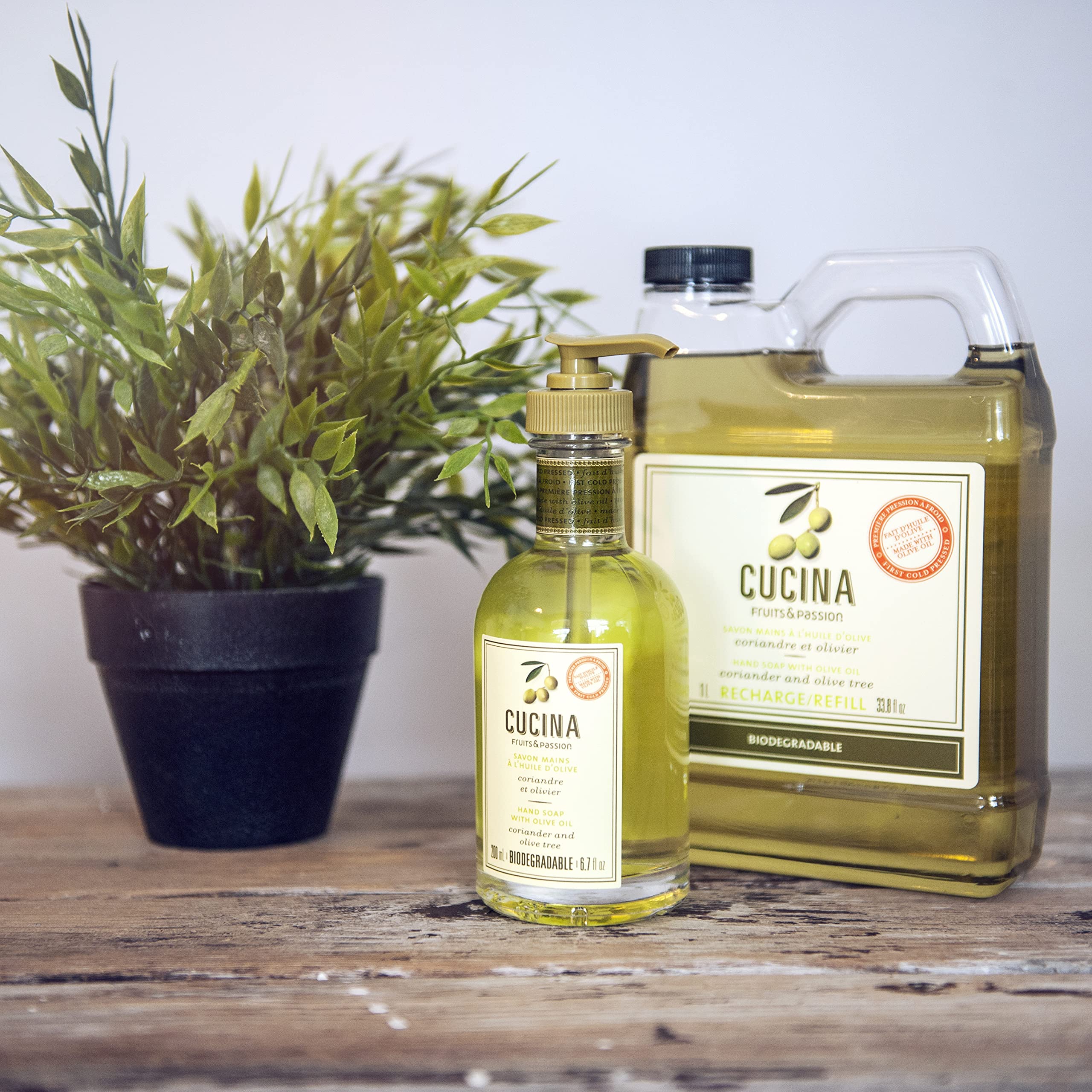 PANZERR Cucina olive-oil ingredient highlights oleic-acid rich formula for skin comfort.