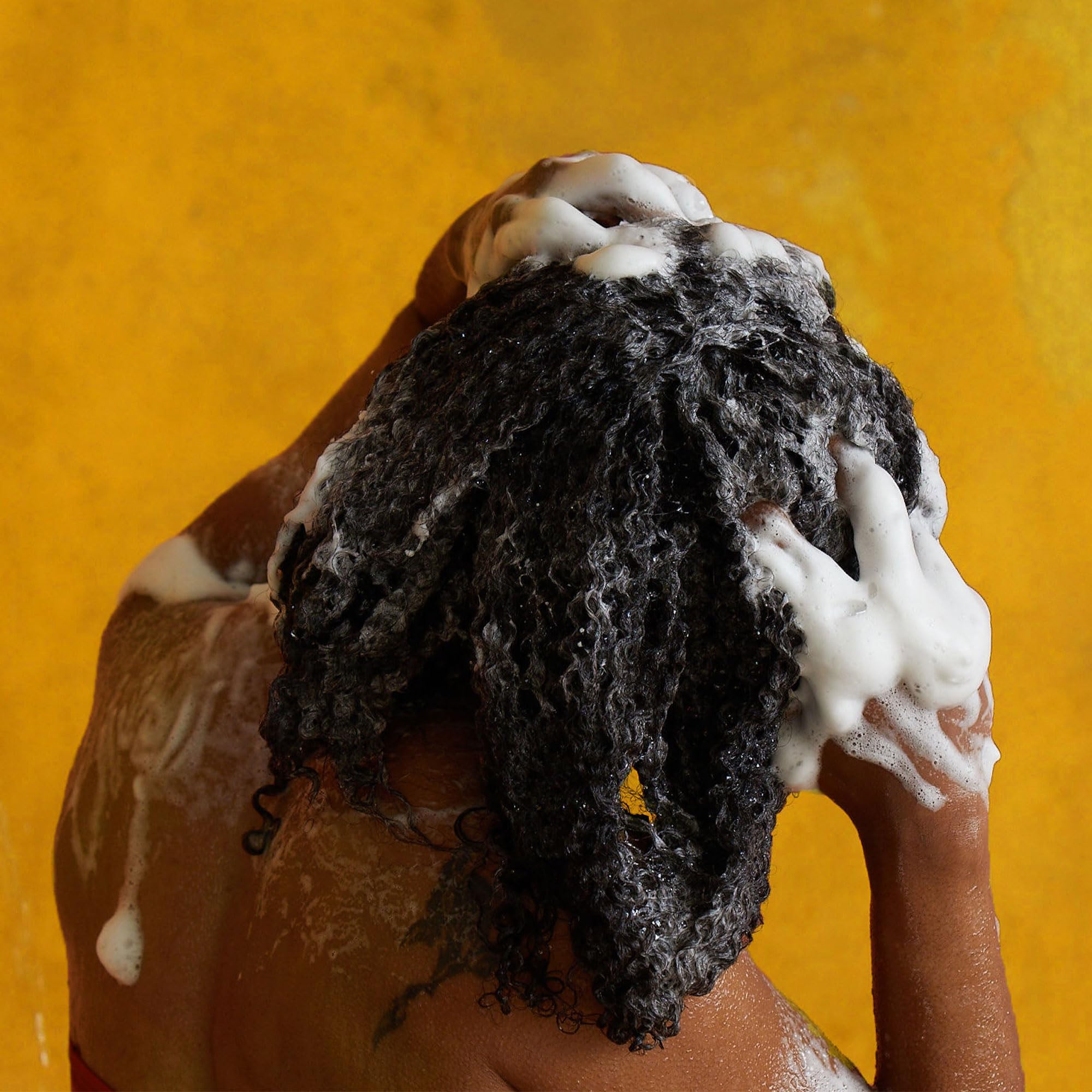PATTERN Hydration Shampoo tea-tree-leaf image suggests refreshing scalp cleanse