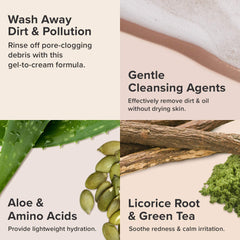 Paula's Choice DEFENSE green tea ingredients highlight antioxidant protection during busy days