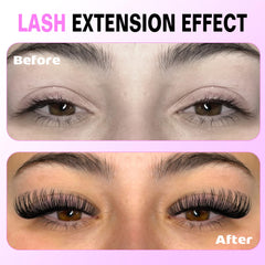 Pawotence cluster lashes in 8-15mm lengths for customizable looks