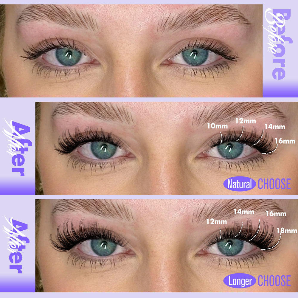 Pawotence Lash Bond and Seal close-up highlighting secure hold for all-day wear