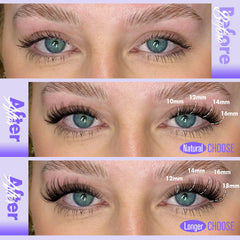 Pawotence Lash Bond and Seal close-up highlighting secure hold for all-day wear