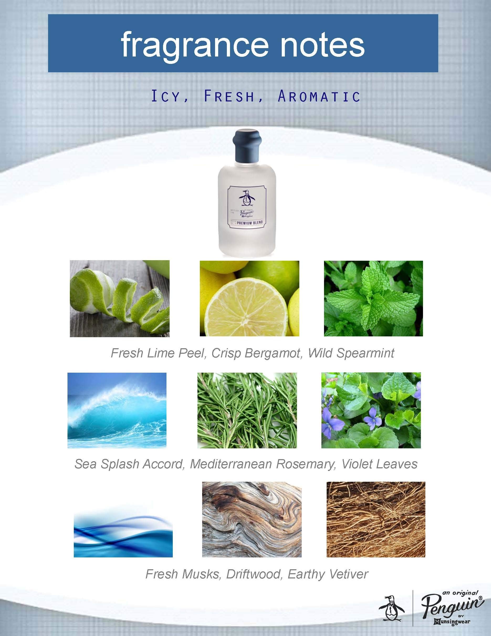 Penguin Original Premium Blend on a beach scene evokes fresh sea inspired scent outdoors