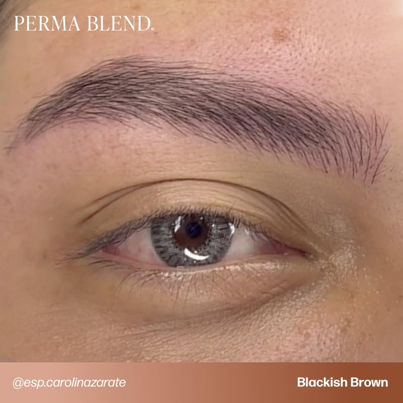 Perma Blend Cool Eyebrow Mini Set dual-use shades suit brows and eyeliner applications.