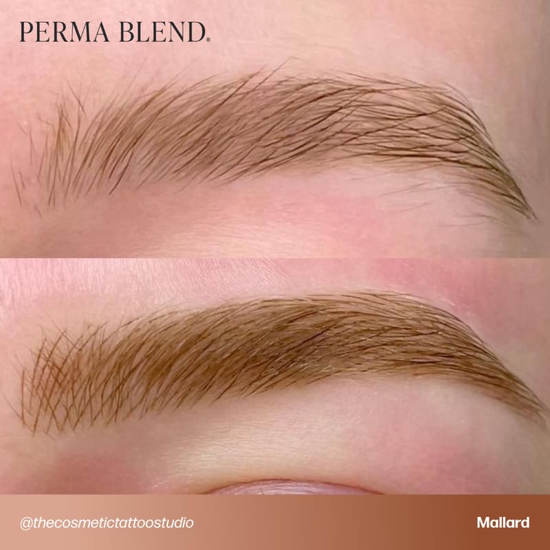 Perma Blend Cool Eyebrow Mini Set vegan pigments support customizable shades for tailored client results.