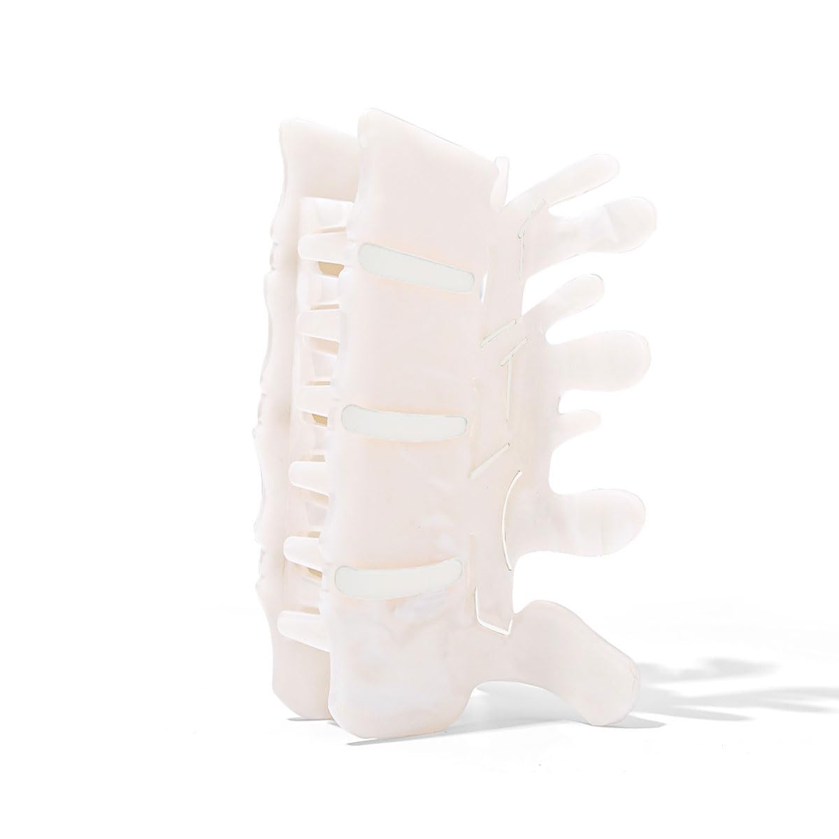 Personfun premium white acetate spine clip highlights vertebra detail for a sophisticated medical inspired look
