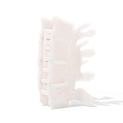 Personfun premium white acetate spine clip highlights vertebra detail for a sophisticated medical inspired look