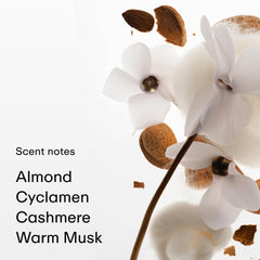 PHLUR Cashmere Skin Mist vanity display shows creamy almond musk mood