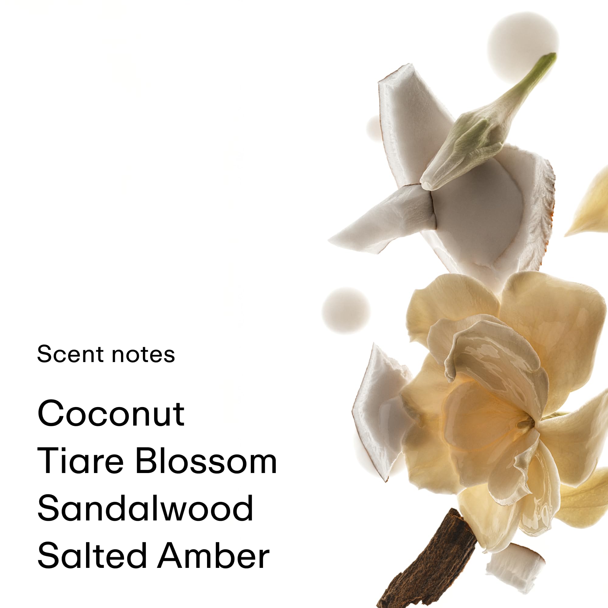 PHLUR Coconut Skin notes close-up highlights tropical top notes for everyday allure.