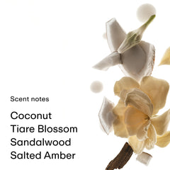 PHLUR Coconut Skin notes close-up highlights tropical top notes for everyday allure.