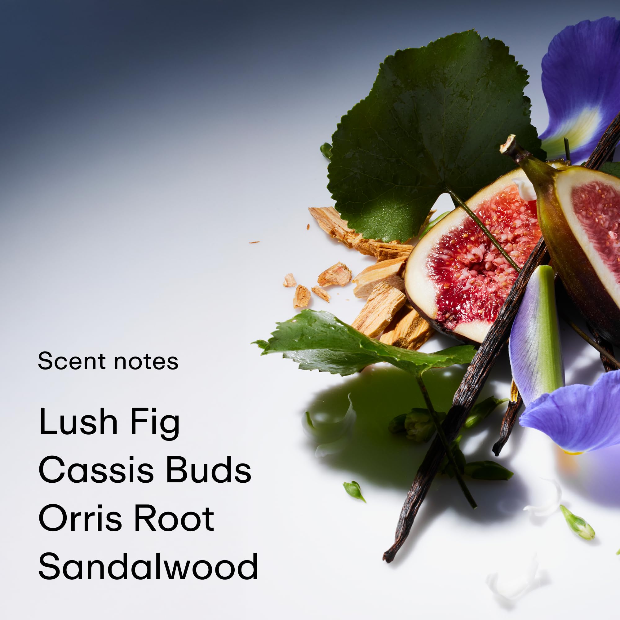 PHLUR Green Fresh Fig bottle emphasizes lush notes ideal for daytime wear.
