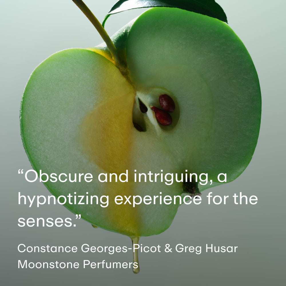 PHLUR Moonstone master-perfumer-craft signals boutique-quality scent development.