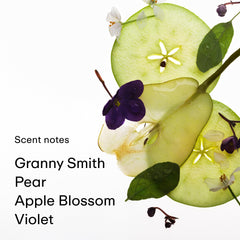 PHLUR Mrs. Smith apple-notes image highlights top notes Granny Smith and Pear.
