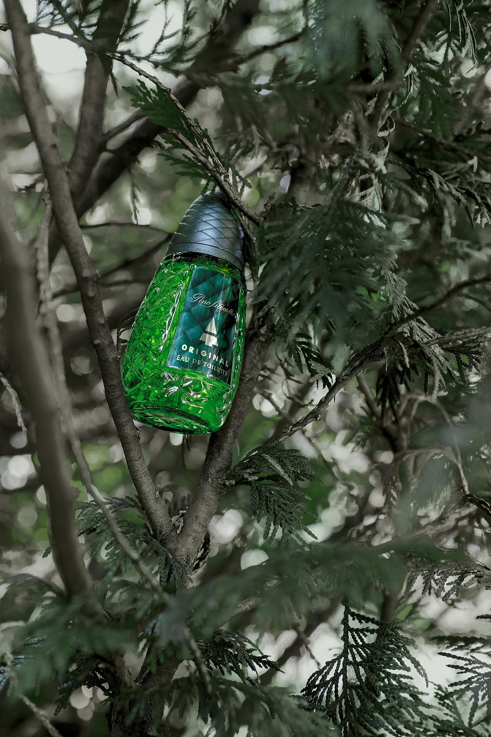Pino Silvestre Original cedarwood and sandalwood base notes offer warmth and longevity.