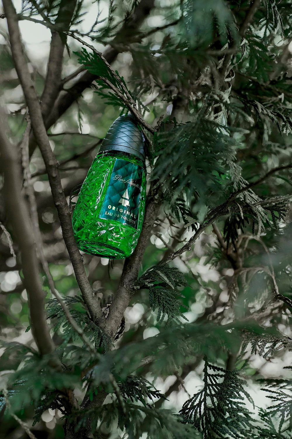 Pino Silvestre Original cedarwood and sandalwood base notes offer warmth and longevity.