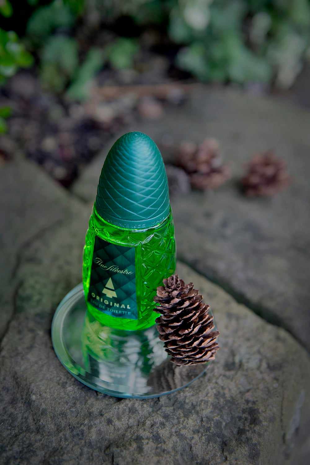 Pino Silvestre Original mist-on-skin demonstrates lasting aroma during day-to-night use.