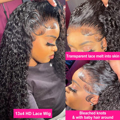 Pizazz Swiss lace with bleached knots and baby hair detail for a realistic hairline.
