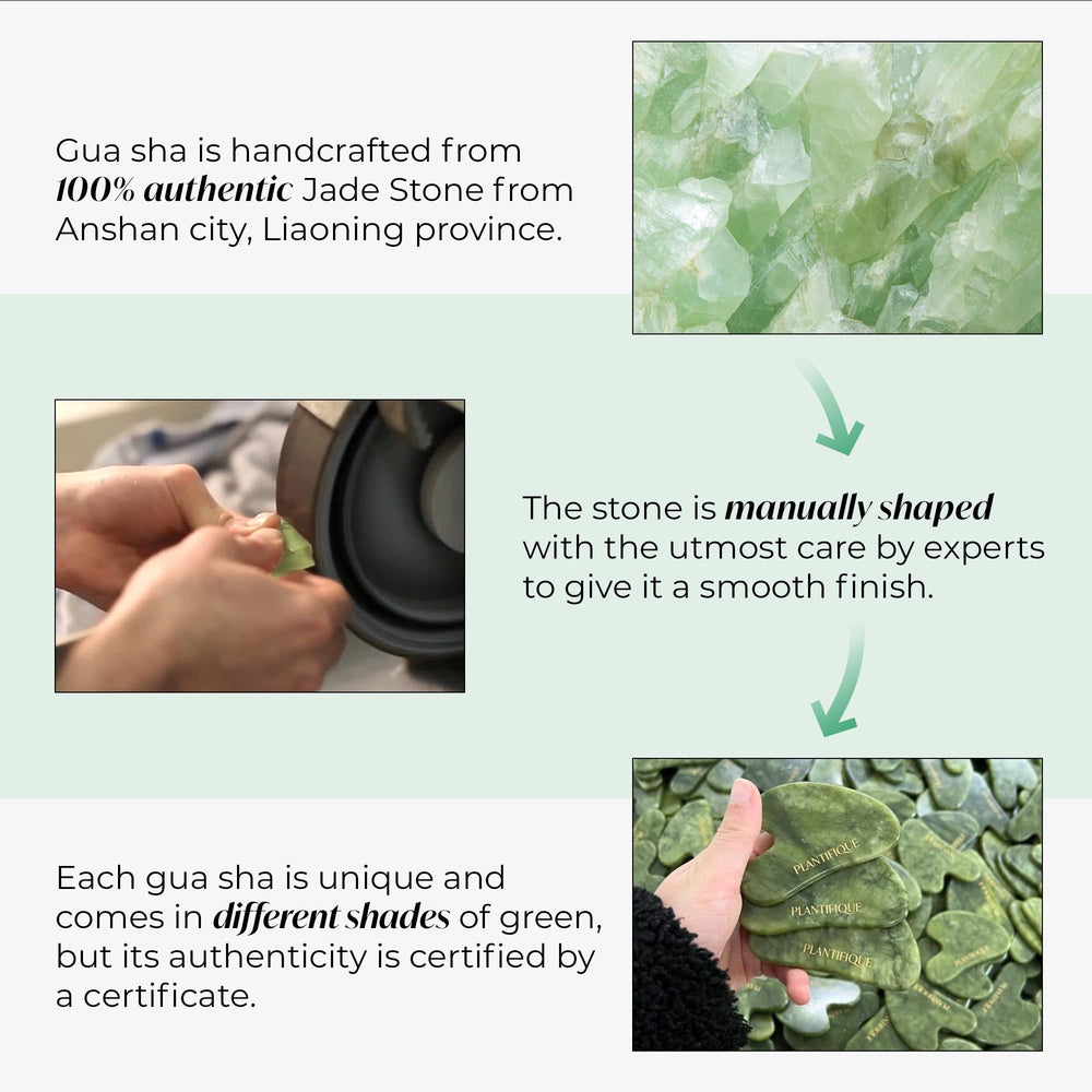 PLANTIFIQUE Gua Sha routine use shows tool integrated into daily skincare regimen.