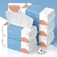 PoeticEHome Soft Dry Wipe pack front view for convenient home cleaning.