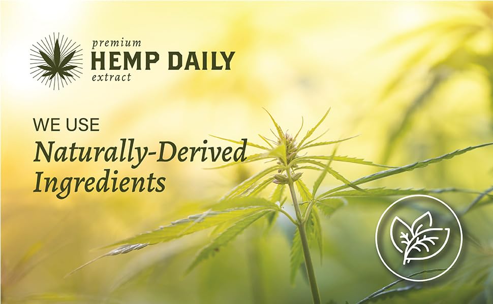 Premium Hemp Extract Daily Intensive Cream natural essential oils aroma close-up.