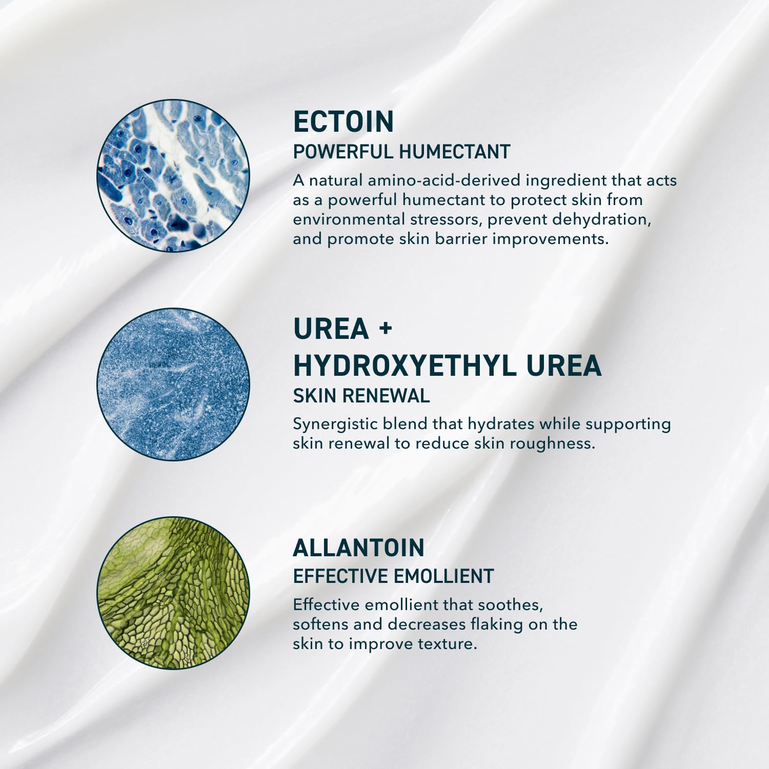 Close-up of urea ingredient in Prequel moisturizer for gentle hydration