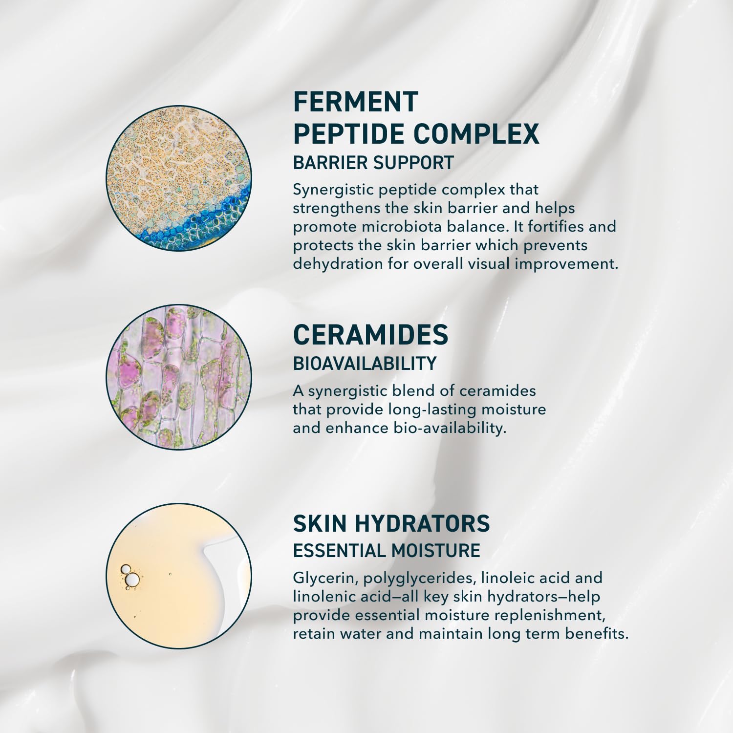 Prequel Skin AM/PM jar label closeup emphasizes peptide-powered barrier support.