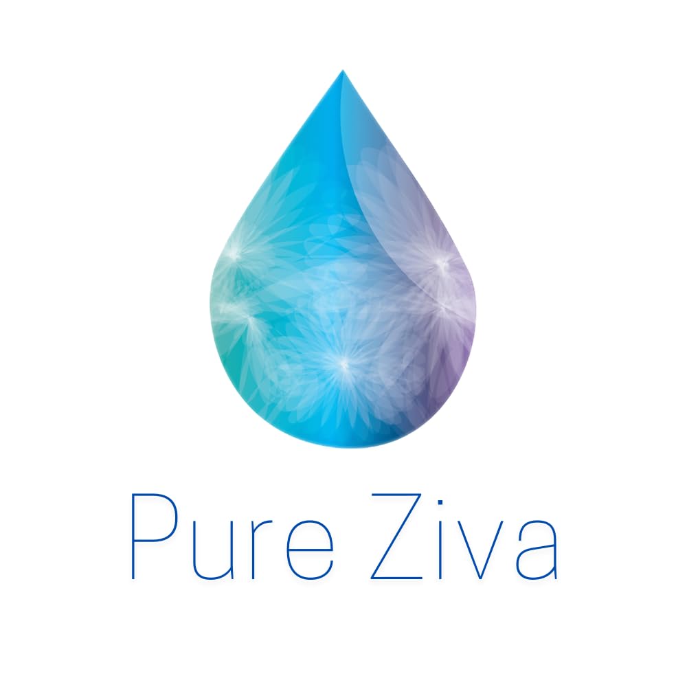 Pure Ziva Naked French Vanilla compact travel-ready for on-the-go looks.