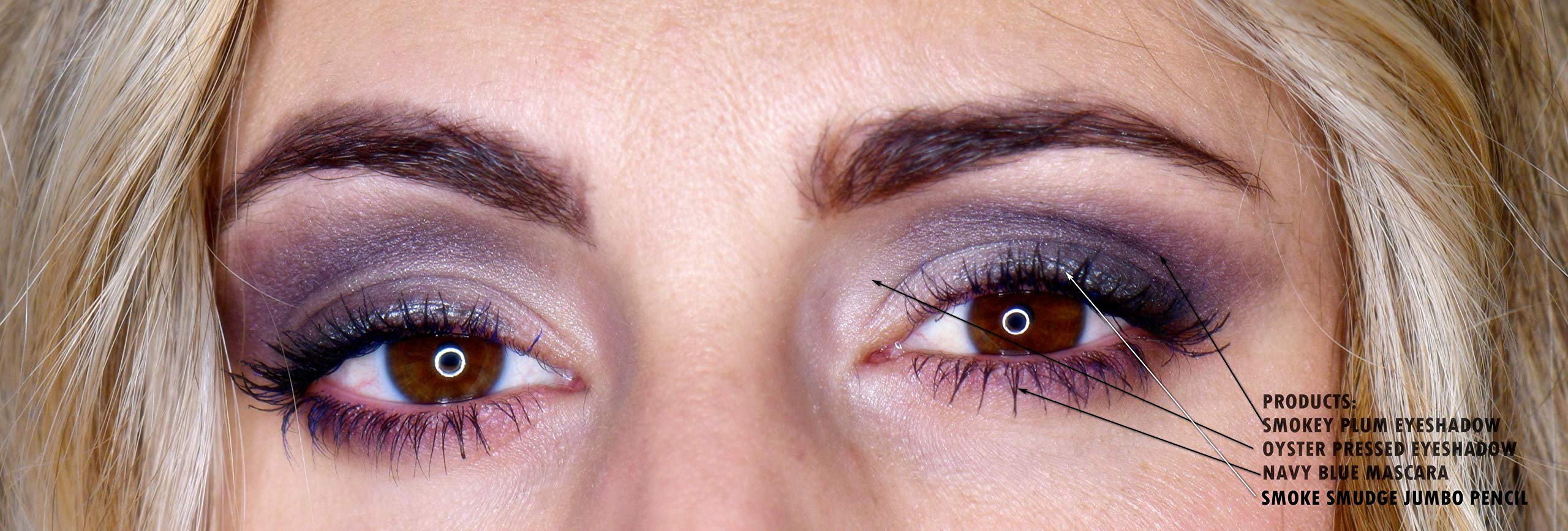 Pure Ziva Smokey Plum lid look example showing depth and contour