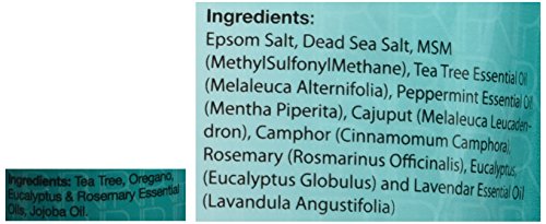 Purely Northwest Tea Tree Oil Nail Care collection closeup highlights natural ingredients and DIY foot rituals