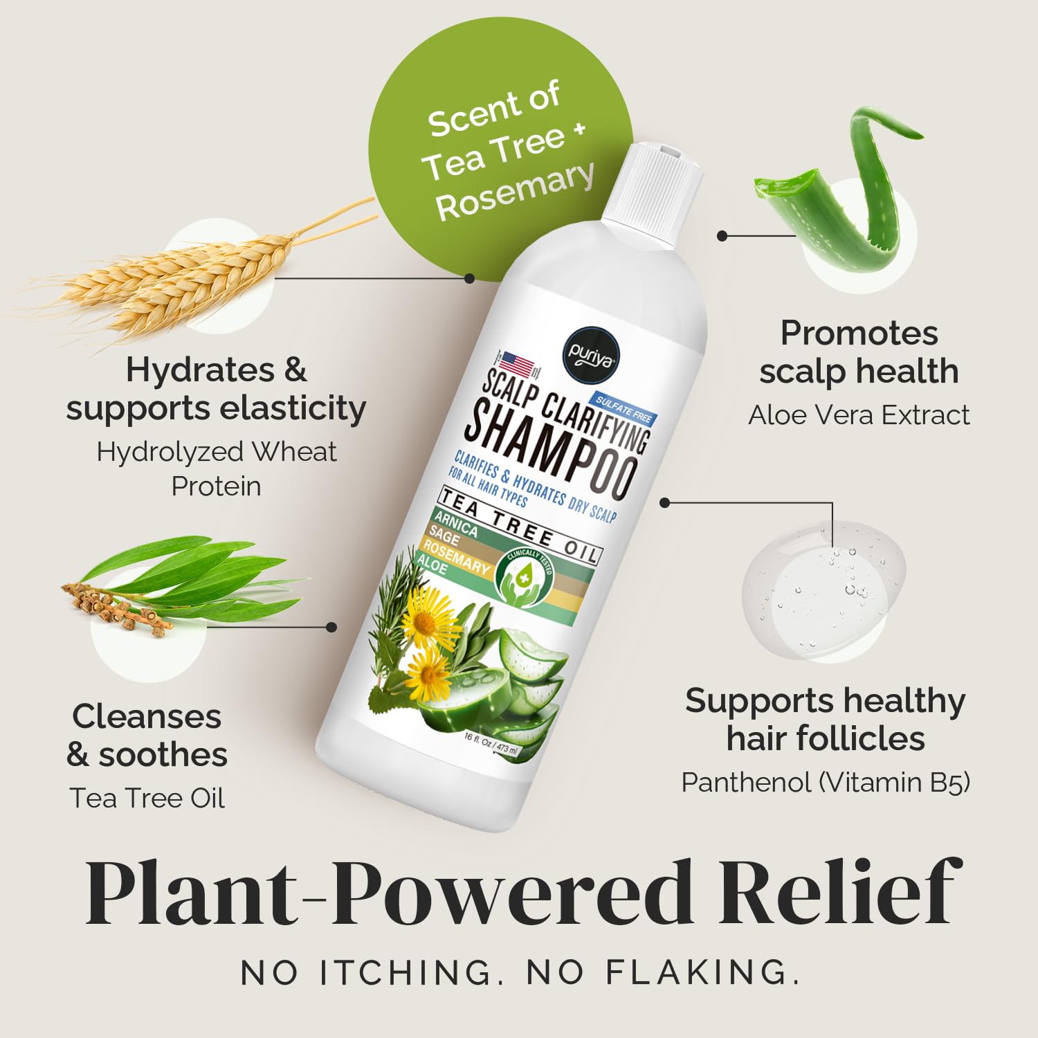 Puriya Tea Tree Clarifying Shampoo hair before and after shows improved manageability