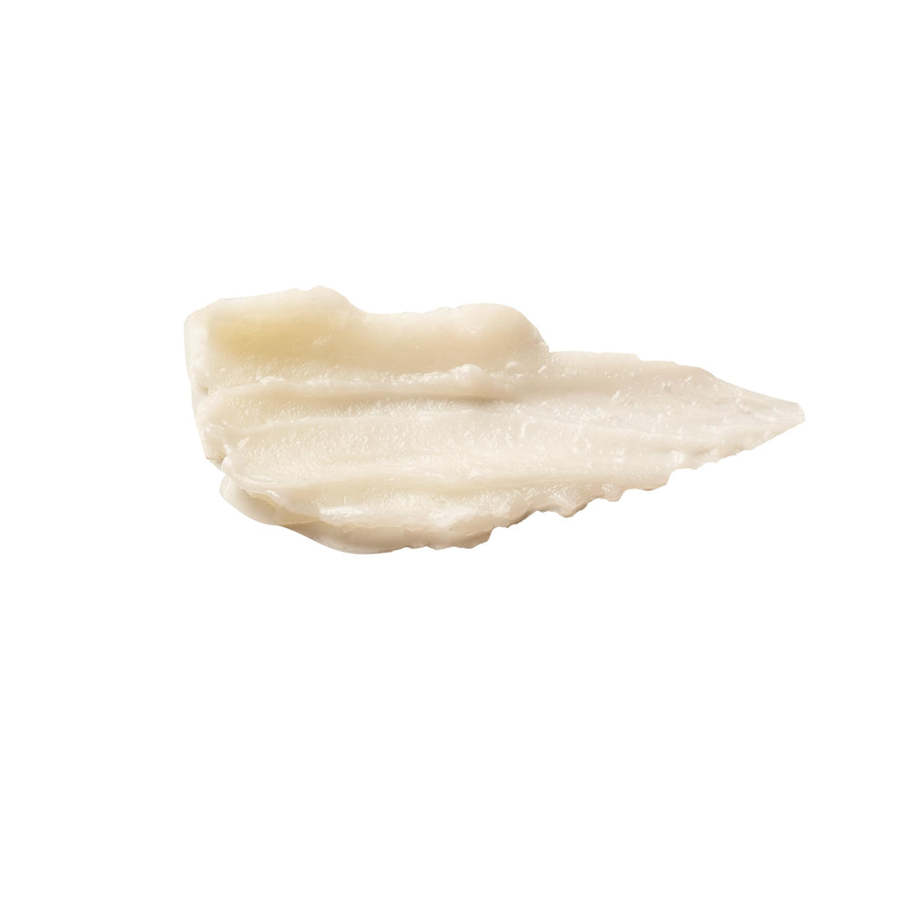 Pūrlisse Pumpkin Chai Latte ingredients display highlights pumpkin enzymes and vitamins for radiance.