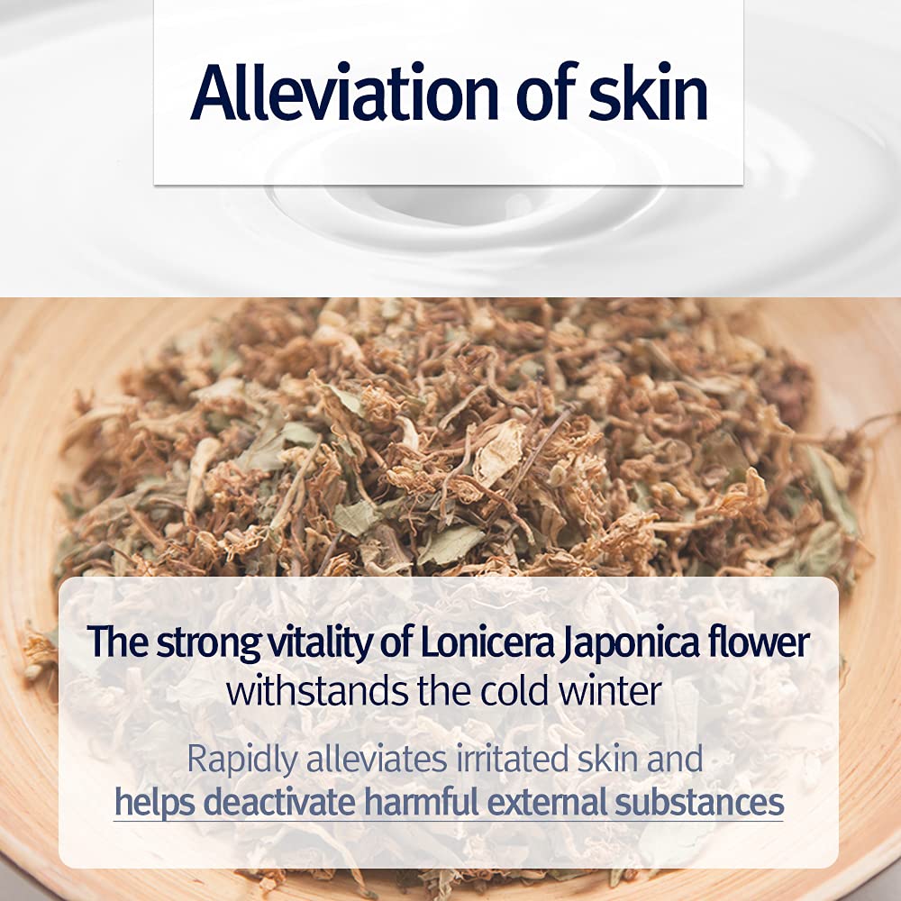 Pyunkang Yul Intensive Ceramide Lotion ingredients oil blend with olive and sunflower oils