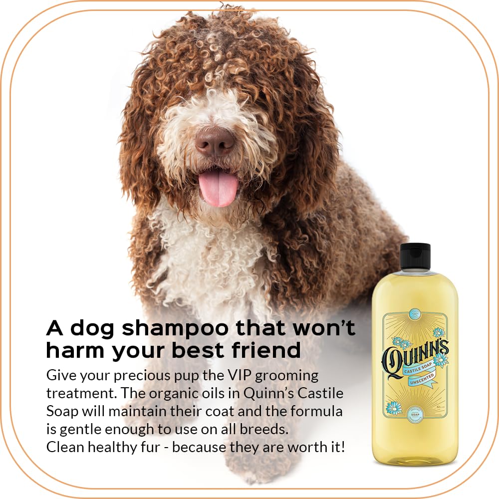 Quinn's Pure Castile body wash foaming for gentle, everyday skincare