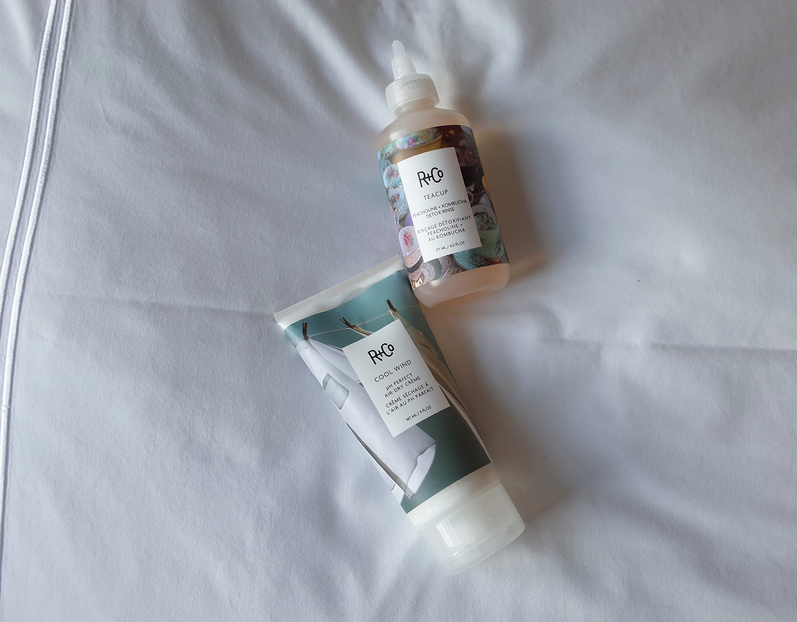 R+Co Cool Wind hair-frizz-control demonstrates anti-frizz performance without heat
