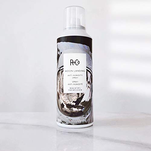R+Co Moon Landing flyaways tamed for sleek, polished look