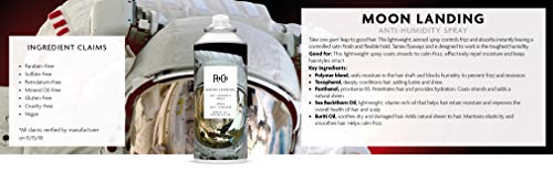 R+Co Moon Landing satin-finish after spraying for controlled shine