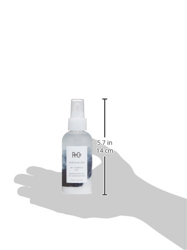Humectants in R+Co Spiritualized Dry Shampoo Mist help maintain moisture.