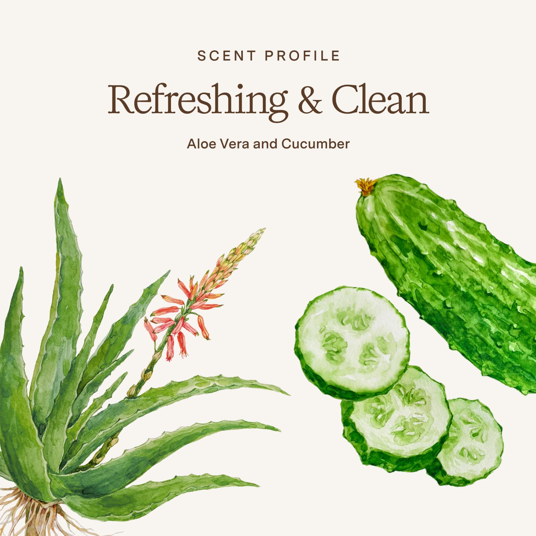 Rahua Aloe Vera Shampoo color-safe use on treated hair for damp styling.