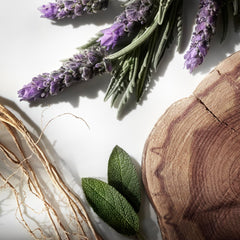 Ralph Lauren Fragrances Ralph's Club night-icon image conveys luxury and confidence.