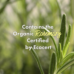 RATED GREEN Real Mary Purifying Scalp Scaler packaging highlights convenient on-the-go size