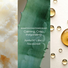 Raw Sugar Aloe ingredient visual emphasizes soothing hydration for hair and scalp.