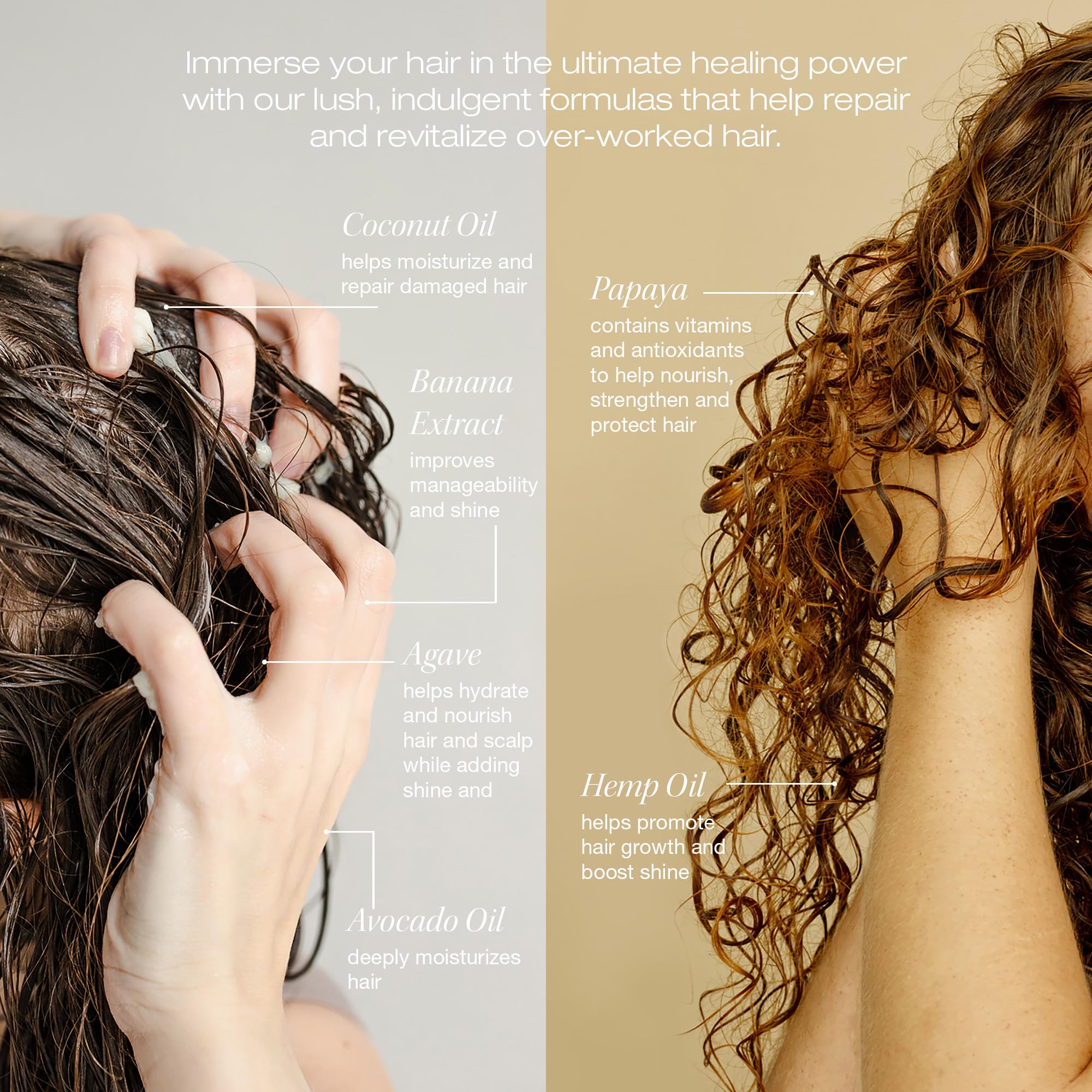 RAW SUGAR Healing Power Masque Duo application demonstrates root-to-tip conditioning.