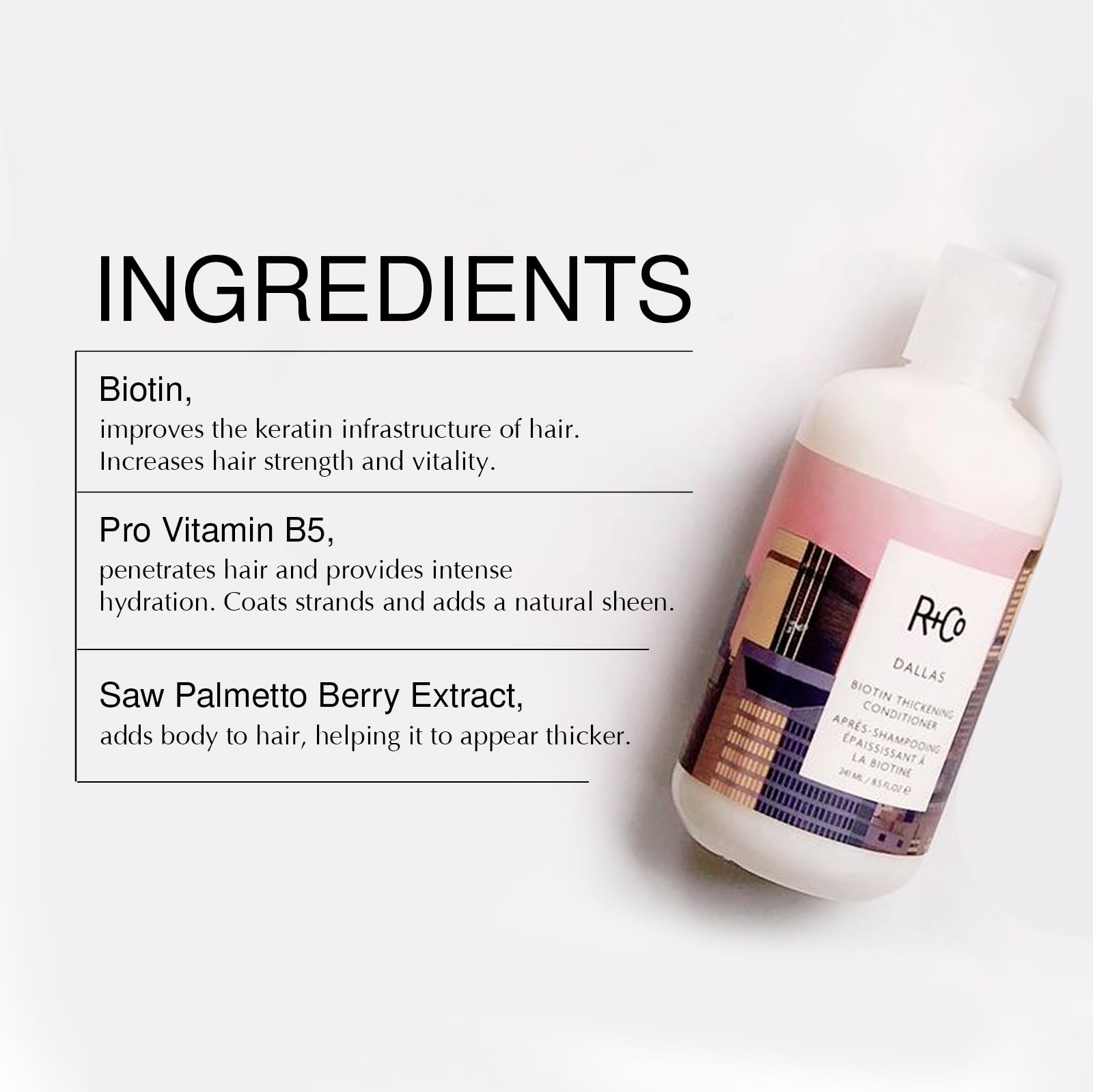 R+Co Dallas set packaging front view showcasing sulfate-free vegan cruelty-free set
