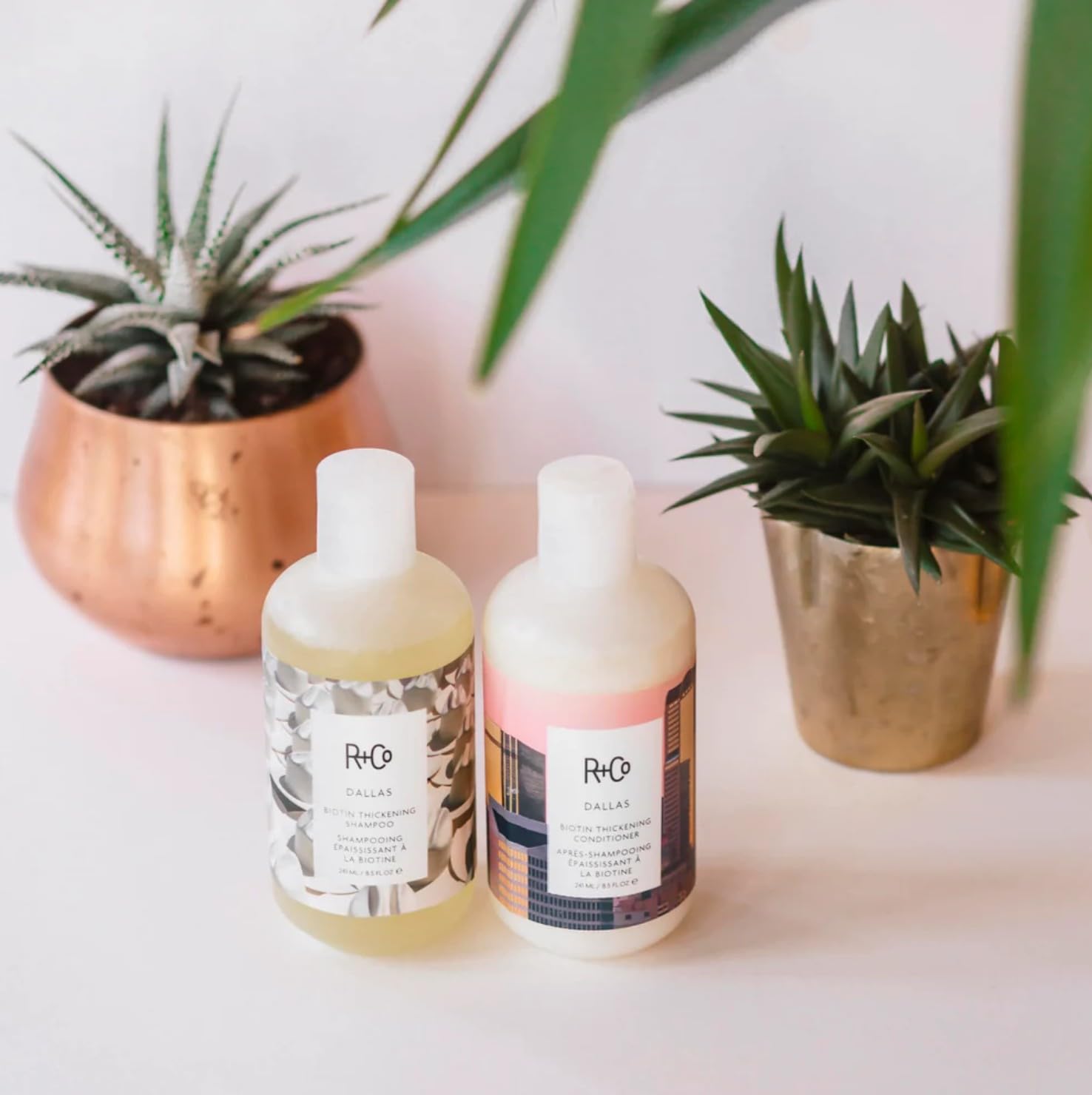 R+Co Dallas sulfate-free vegan cruelty-free badge highlights ethics
