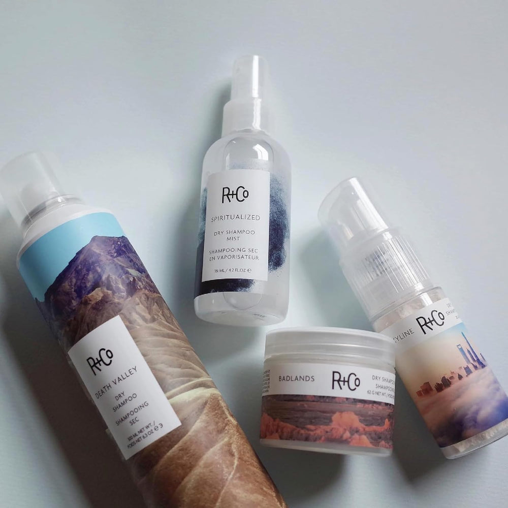 R+Co Skyline dry shampoo powder at roots delivering instant refresh.