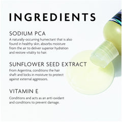 R+Co Television Perfect Hair Shampoo lather highlights shine and smoothing on strands.