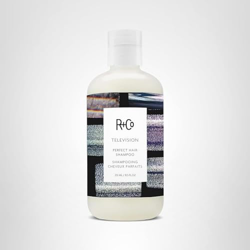 R+Co Television Perfect Hair Shampoo on a model with healthy, nourished-looking hair.