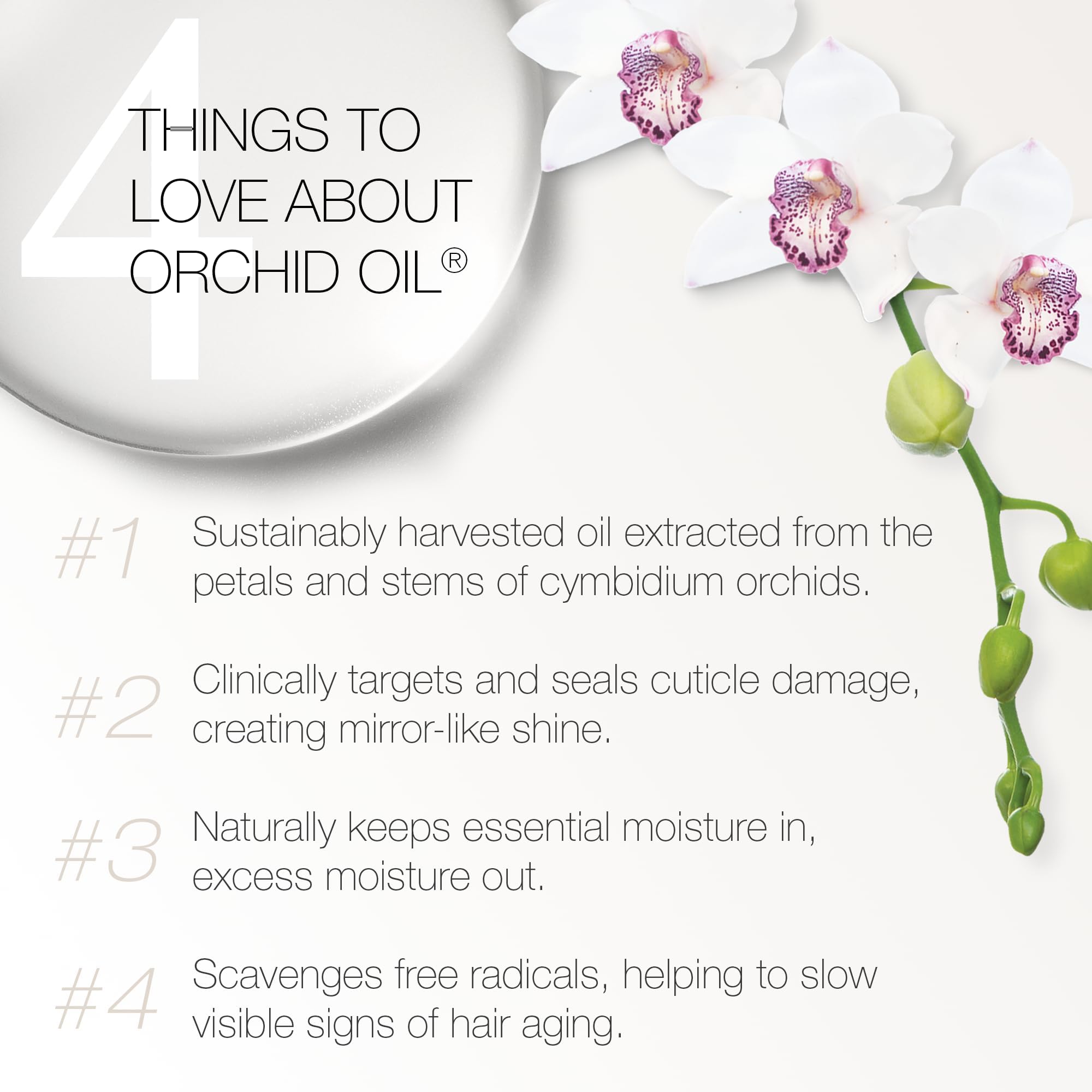 Redavid Orchid Oil applied to damp curls for frizz control and moisture